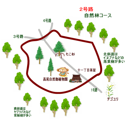 高尾山自然研究路２号路