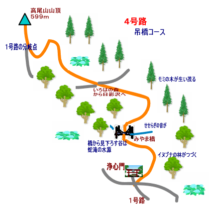 高尾山自然研究路４号路