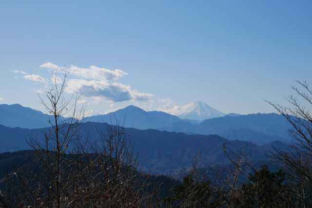 高尾山から富士山を望む