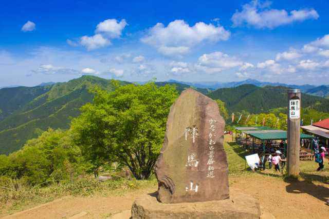 陣馬山