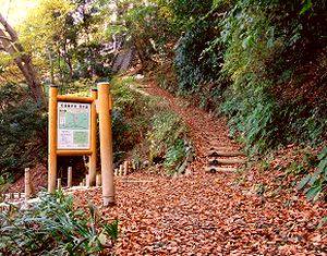 高尾山自然研究路２号路