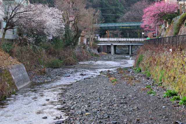 甲州街道