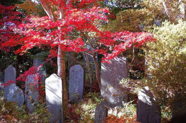 高尾山の石碑群