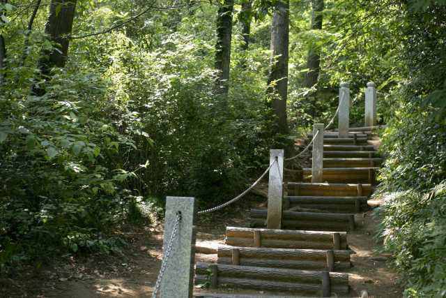 高尾山こども合宿