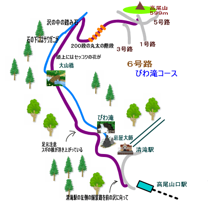 高尾山自然研究路６号路