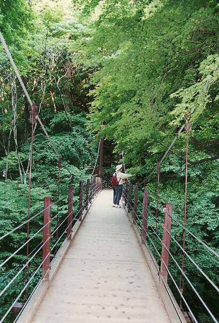 ４号路の吊り橋