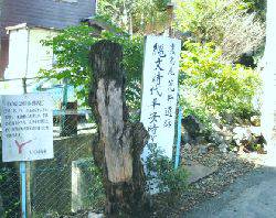 高尾山にも遺跡あり