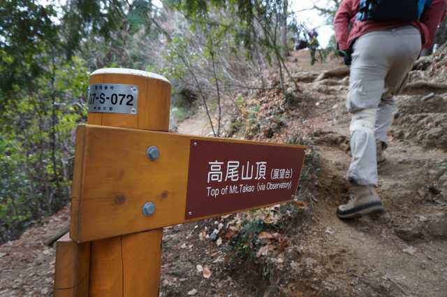 高尾山自然研究路