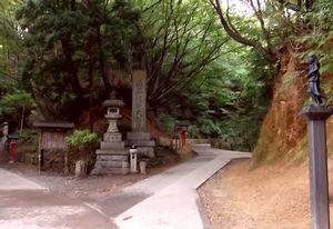 高尾山の小仏層