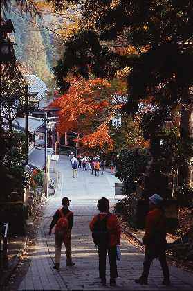 高尾山自然研究路に立つ