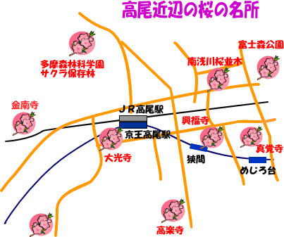 自然豊かな高尾山のサクラの絶景ポイント 高尾通信